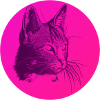 Cat pink