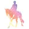 Horse Riding Silhouette