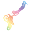 Motocross Silhouette Sport