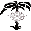 Black Palm