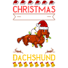 Doxie Teckel Teckel Chien Noël