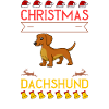 Doxie Teckel Teckel Chien Noël