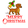 Doxie Teckel Teckel Chien Noël
