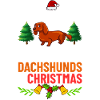 Doxie Teckel Teckel Chien Noël