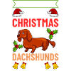 Doxie Teckel Teckel Chien Noël