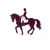 Dressur Ridning Hestetræning Dressur