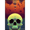 Psy Goa Skull