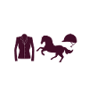 Dressur Ridning Hestetræning Dressur