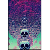 Skull Flowers Rose Cloud
