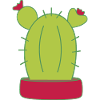 Cactus, cacti, succulents, plant