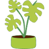 Blumentopf Pflanze Geschenk 