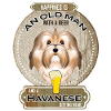 Havanese Dad Beer Lover