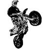 Supermoto / Supermotard / Supermoto Wheelie Biker