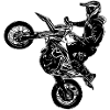 Supermoto / Supermotard / Supermoto Wheelie Biker