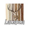 Lausbua Hirsch Lederhosen