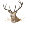 Lausbua Hirsch Lederhosen