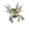 Axolotl Camouflage Drapeau Axolotl