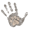 Cat's paw in hand