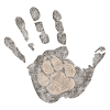 Dog paw in hand