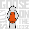 goose on the loose