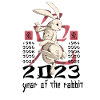 Chinese Rabbit Character New Year