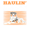 Australischer Schäferhund Berger australien Auss