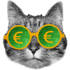 Cat money glasses