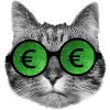 Cat wearing euro sign glasses