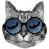 Halloween Katze