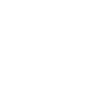 Funny racing pigeon