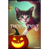 Halloween crazy cat pumpkin