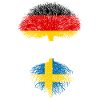 Deutsch mit schwedischen Wurzeln