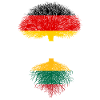 Deutsch mit litauischen Wurzeln