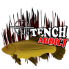 Tanche