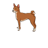Cadeau Chien Basenji
