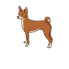 Basenji Dog Cadeau