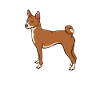 Basenji Dog Gift