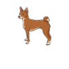Cadeau Chien Basenji