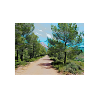 Je peux pas J'ai Rando