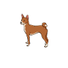 Cadeau Chien Basenji