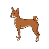 Basenji Dog Cadeau