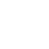 Basenji Dog Cadeau