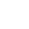 Future Locksmith