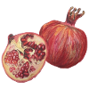 Cooking pomegranate fruit