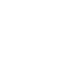 Chicago Style No Ketchup
