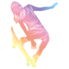 Skateboard Woman Silhouette