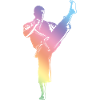Silhouette de karaté