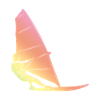Windsurfing Silhouette