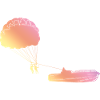 paragliding windsurfing silhouette