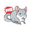 Chinchilla About People